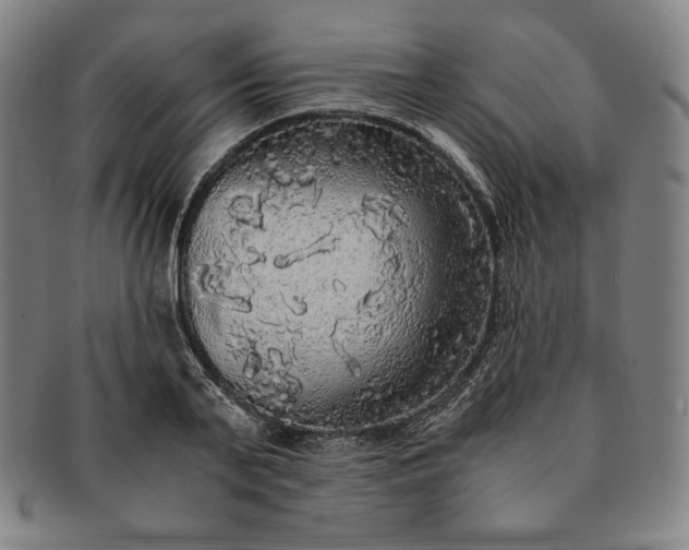 X0000091200791200708231529
