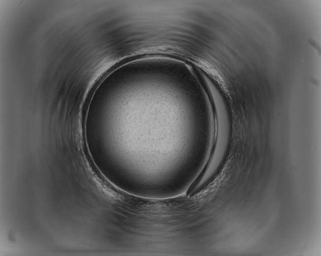 X0000091200792200708231529