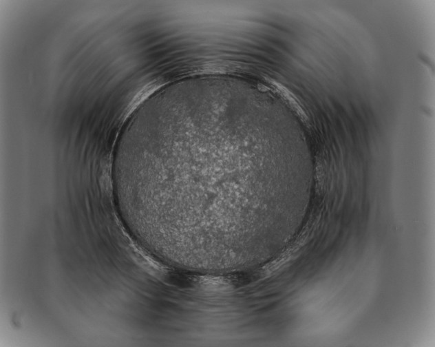 X0000091200794200708231529