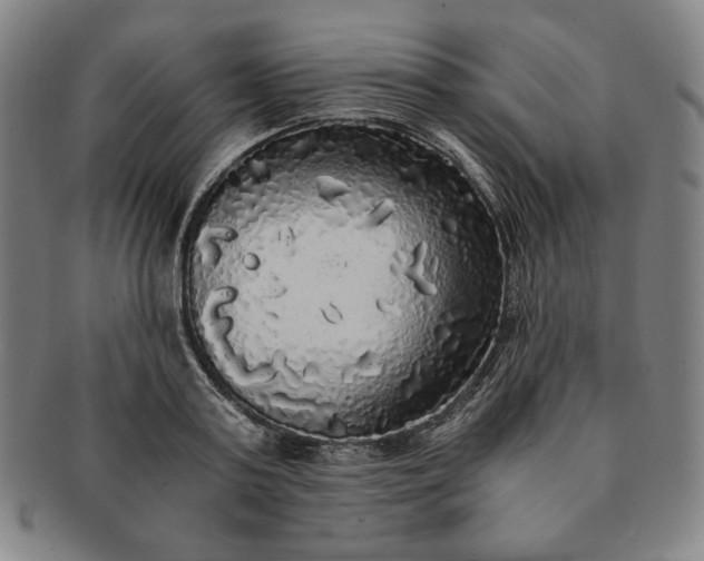 X0000091200795200708231529