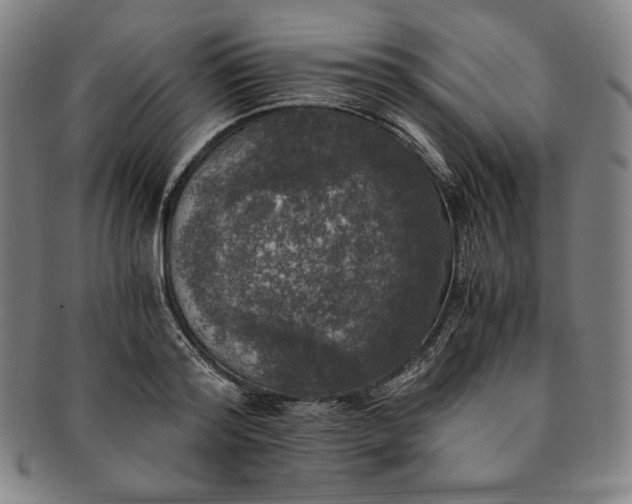 X0000091200796200708231529