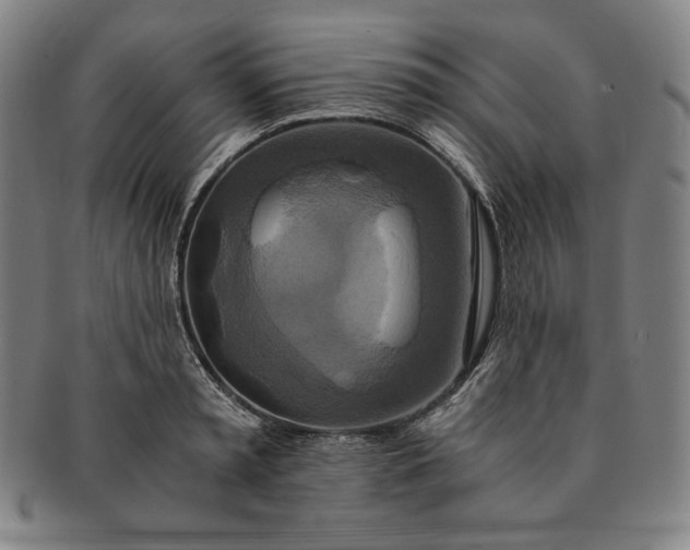 X0000091200797200708231529