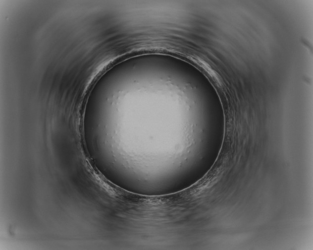 X0000091200799200708231529
