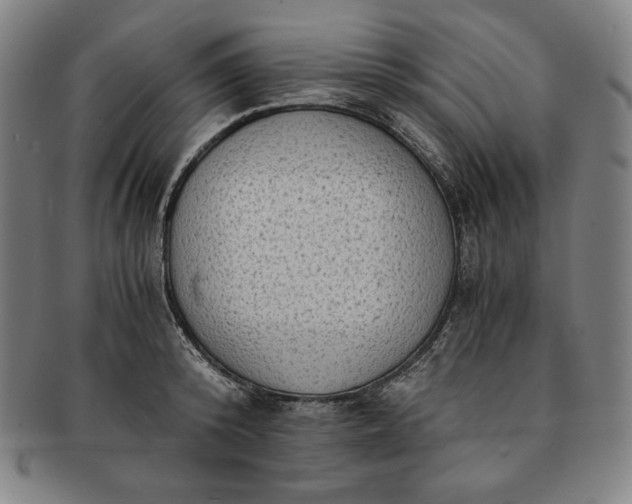 X0000091200800200708231529