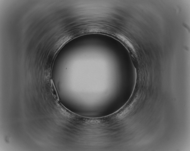 X0000091200801200708231529