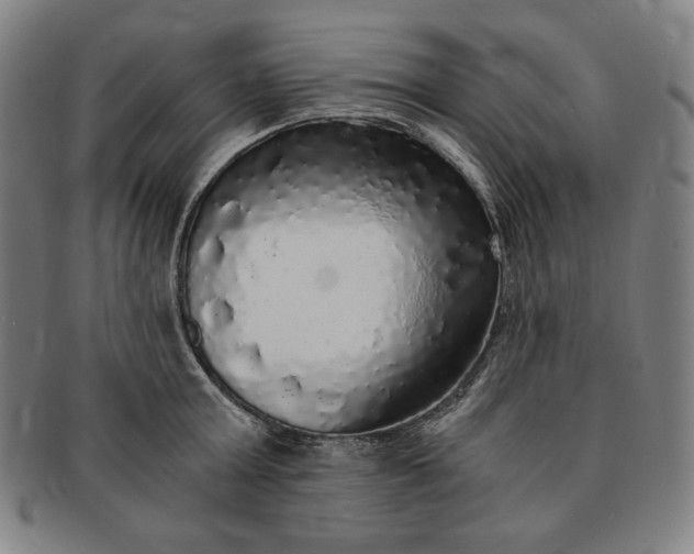 X0000091200803200708231529