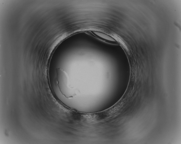 X0000091200805200708231529