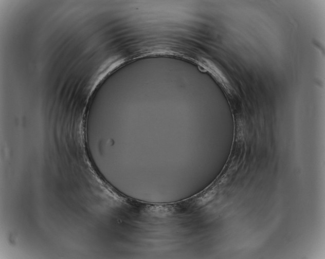 X0000091200806200708231529