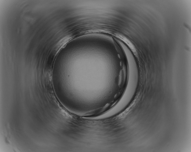 X0000091200809200708231529