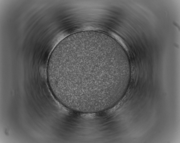 X0000091200810200708231529