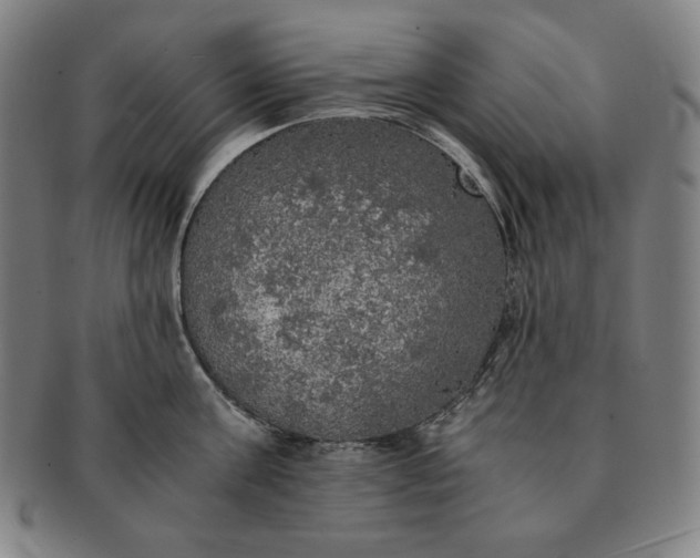 X0000091200811200708231529