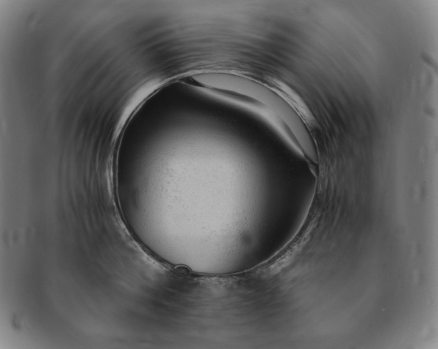 X0000091200812200708231529