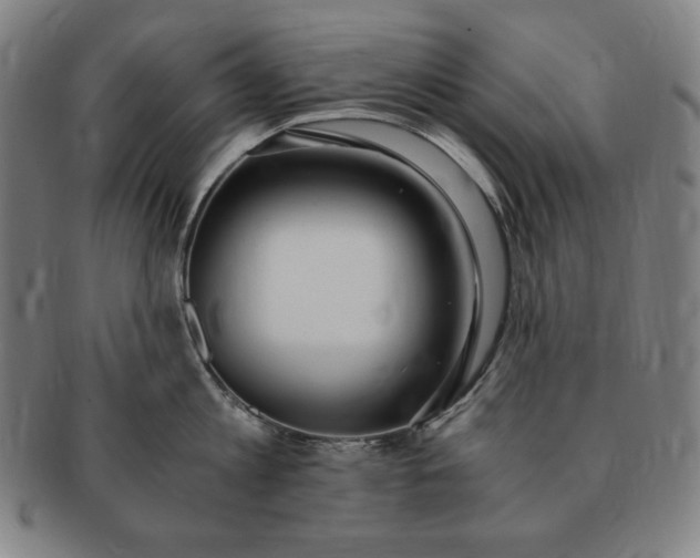 X0000091200813200708231529
