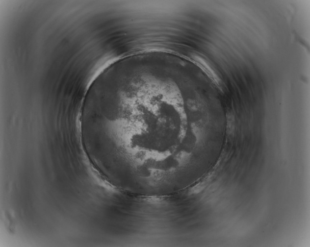 X0000091200814200708231529
