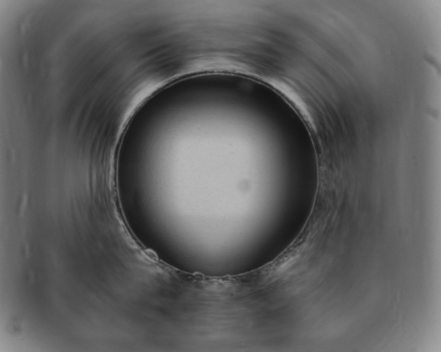 X0000091200815200708231529