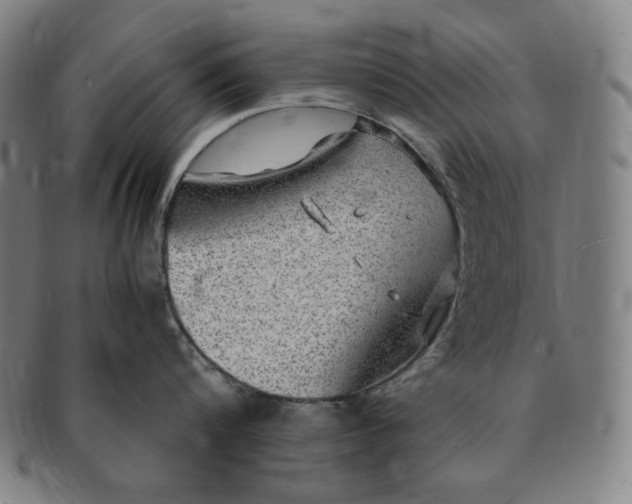 X0000091200816200708231529