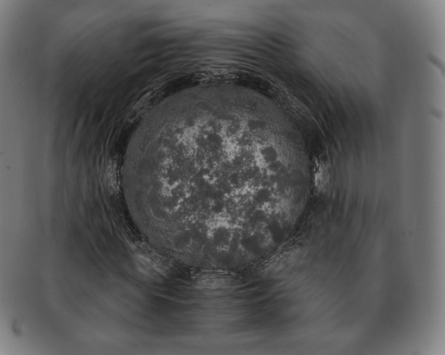 X0000091200819200708231528