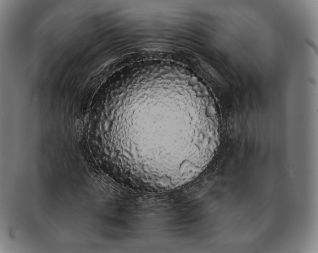 X0000091200821200708231528