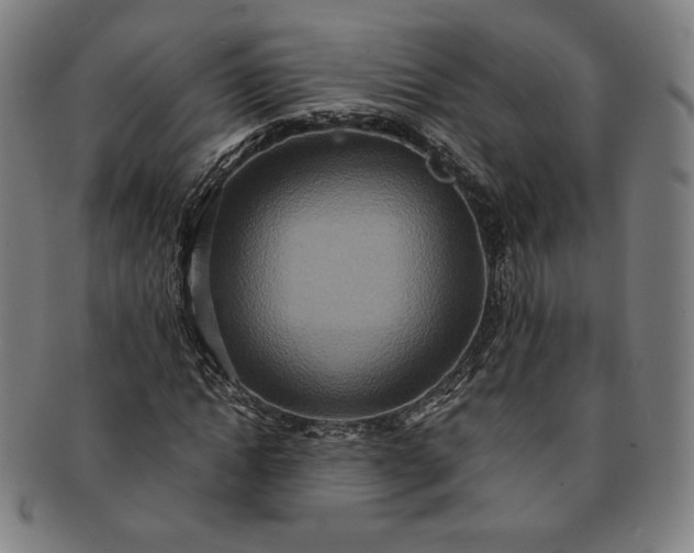 X0000091200822200708231528
