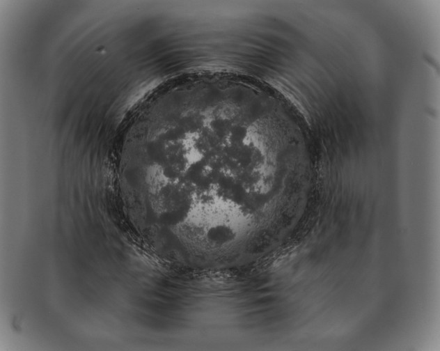X0000091200823200708231528