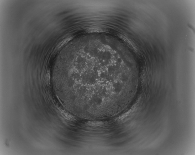 X0000091200825200708231528