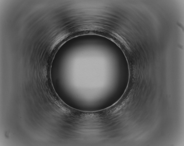 X0000091200826200708231528