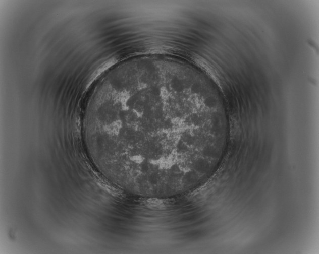 X0000091200827200708231528