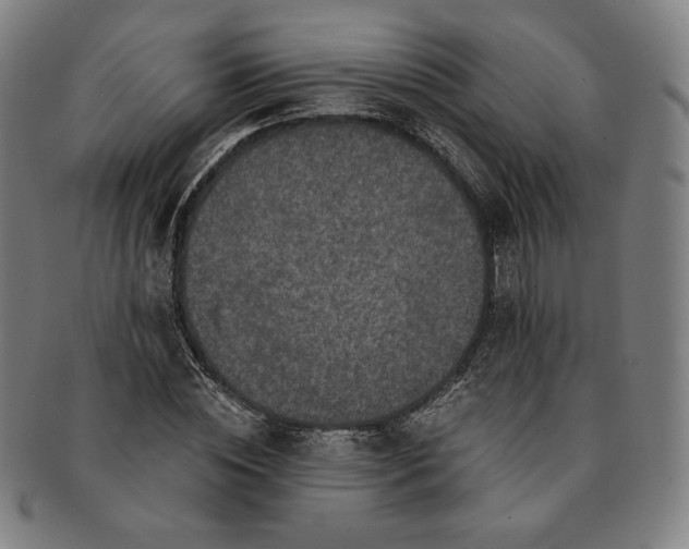 X0000091200828200708231528