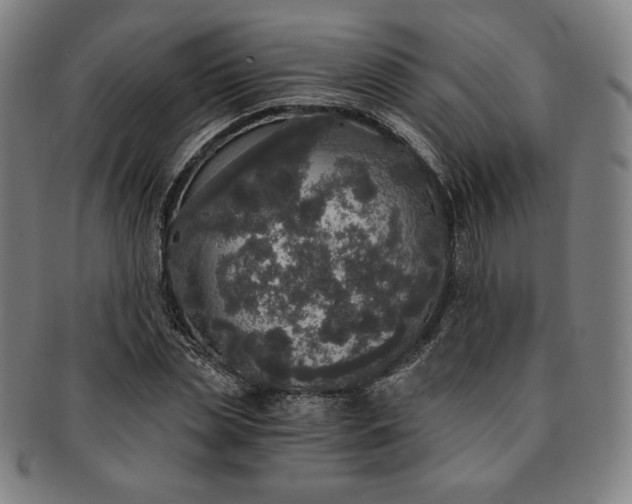 X0000091200829200708231528