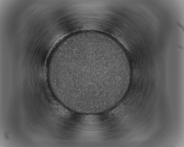X0000091200832200708231529