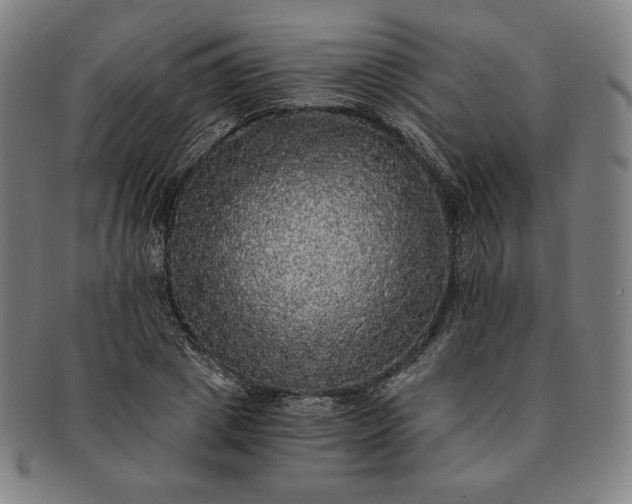 X0000091200833200708231529