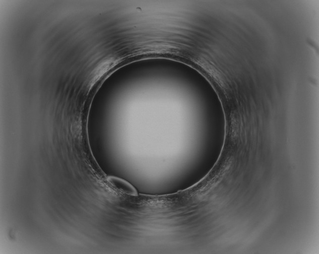 X0000091200834200708231529
