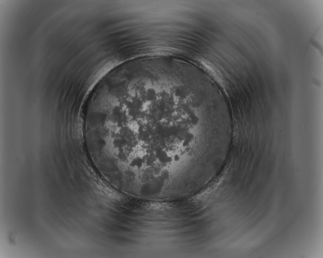 X0000091200835200708231529