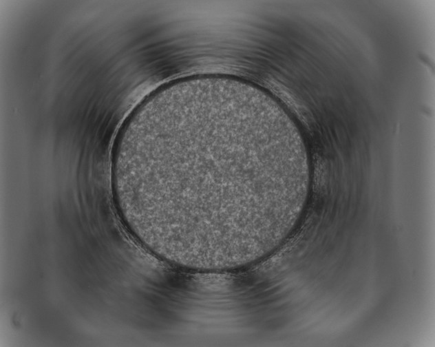 X0000091200836200708231529