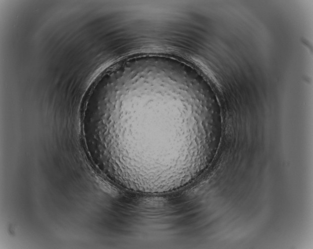 X0000091200837200708231529