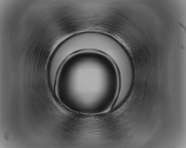 X0000091200838200708231529