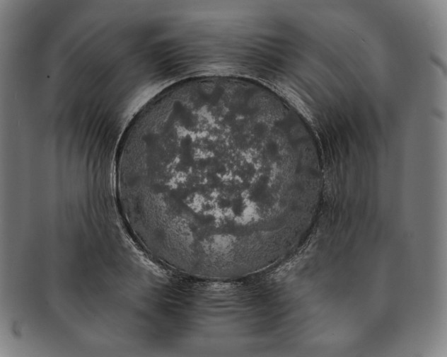 X0000091200839200708231529