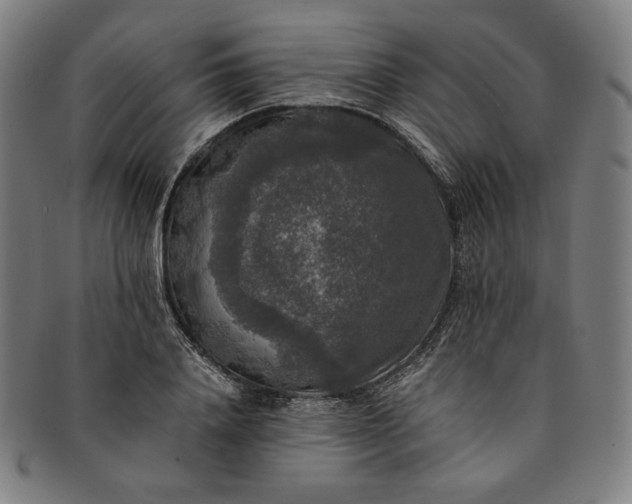 X0000091200840200708231529