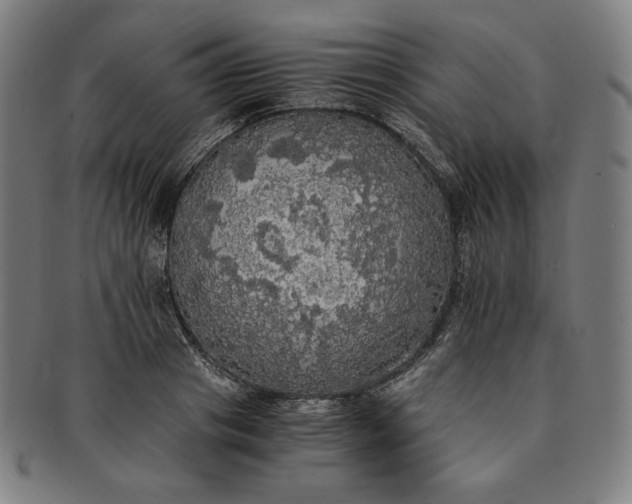 X0000091200841200708231529