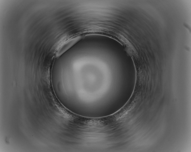 X0000091200842200708231529