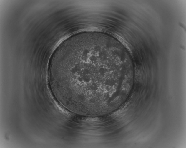 X0000091200845200708231529