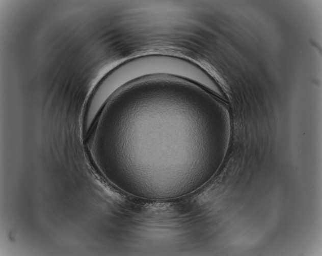 X0000091200846200708231529