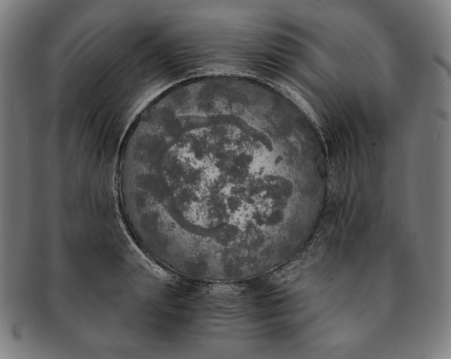 X0000091200847200708231529