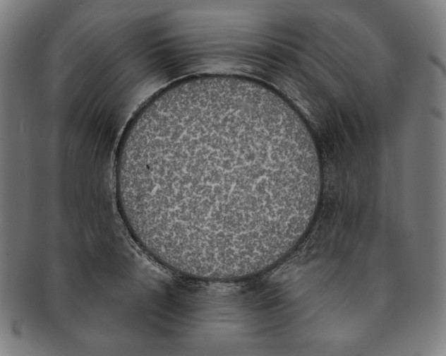 X0000091200848200708231529