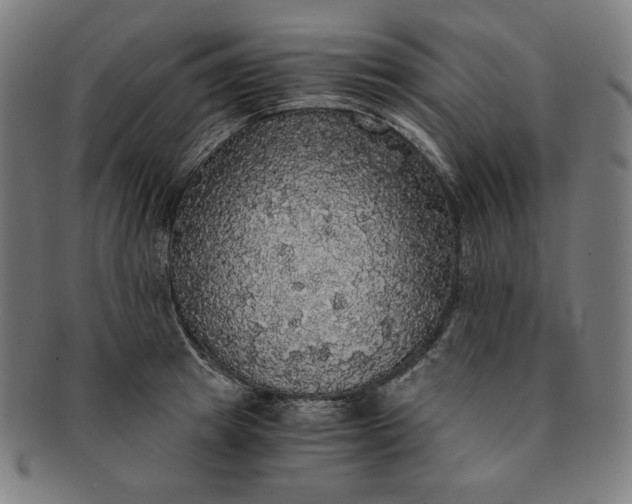 X0000091200849200708231529