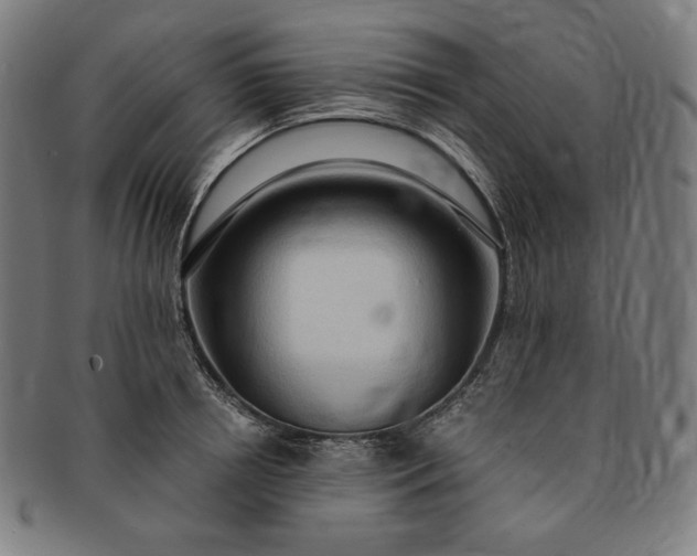 X0000091200850200708231529