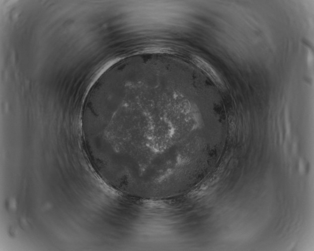 X0000091200852200708231529
