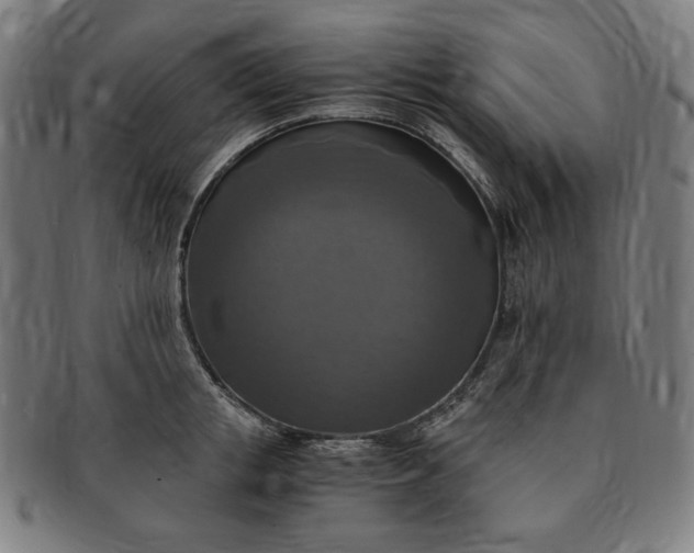 X0000091200853200708231529