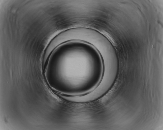 X0000091200854200708231529