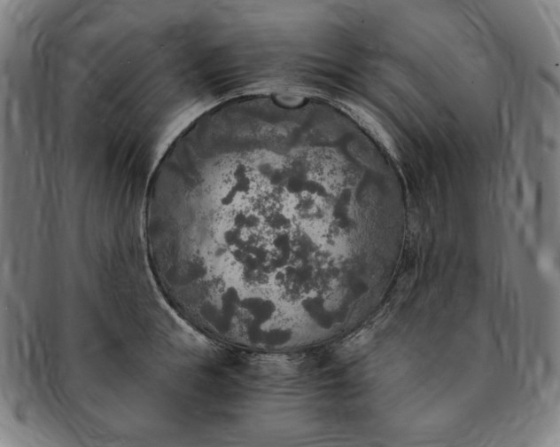 X0000091200855200708231529